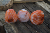 Polished Carnelian Agate Standing Free Forms x 3 From Madagascar