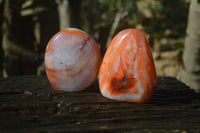 Polished Carnelian Agate Standing Free Forms x 3 From Madagascar