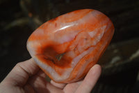 Polished Carnelian Agate Standing Free Forms x 3 From Madagascar