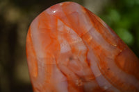 Polished Carnelian Agate Standing Free Forms x 3 From Madagascar