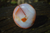 Polished Carnelian Agate Standing Free Forms x 3 From Madagascar