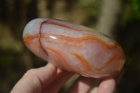 Polished Carnelian Agate Standing Free Forms x 3 From Madagascar