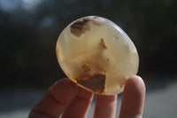 Polished Flower Agate Palm Stones x 12 From Madagascar