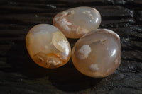 Polished Flower Agate Palm Stones x 12 From Madagascar