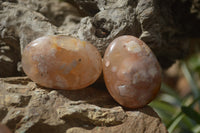 Polished Flower Agate Palm Stones x 12 From Madagascar