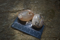 Polished Flower Agate Palm Stones x 12 From Madagascar