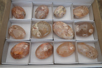 Polished Flower Agate Palm Stones x 12 From Madagascar