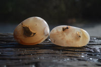 Polished Flower Agate Palm Stones x 12 From Madagascar