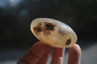 Polished Flower Agate Palm Stones x 12 From Madagascar