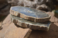 Polished Petrified Wood Slices x 6 From Gokwe, Zimbabwe