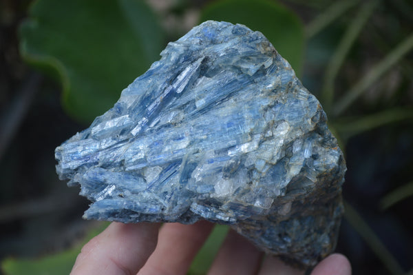 Natural Kyanite Matrix Specimens x 5 From Zimbabwe