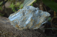 Natural Kyanite Matrix Specimens x 5 From Zimbabwe