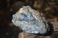 Natural Kyanite Matrix Specimens x 5 From Zimbabwe