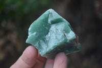 Natural Swazi Jade Cobbed Specimens x 24 from Swaziland