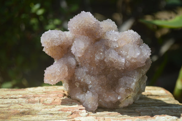 Natural Ametrine Spirit Quartz Clusters x 2 From Boekenhouthoek, South Africa