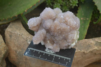 Natural Ametrine Spirit Quartz Clusters x 2 From Boekenhouthoek, South Africa