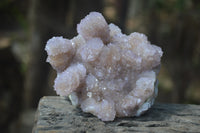 Natural Ametrine Spirit Quartz Clusters x 2 From Boekenhouthoek, South Africa