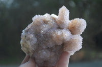 Natural Ametrine Spirit Quartz Clusters x 2 From Boekenhouthoek, South Africa