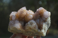 Natural Ametrine Spirit Quartz Clusters x 2 From Boekenhouthoek, South Africa