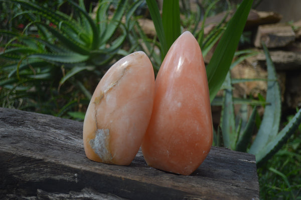 Polished Orange Twist Calcite Standing Free Forms x 2 From Madagascar