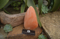 Polished Orange Twist Calcite Standing Free Forms x 2 From Madagascar