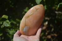 Polished Orange Twist Calcite Standing Free Forms x 2 From Madagascar