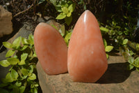 Polished Orange Twist Calcite Standing Free Forms x 2 From Madagascar