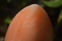 Polished Orange Twist Calcite Standing Free Forms x 2 From Madagascar