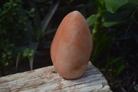 Polished Orange Twist Calcite Standing Free Forms x 2 From Madagascar