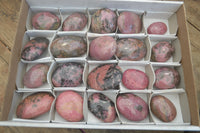 Polished Rhodonite Palm Stones x 20 From Madagascar