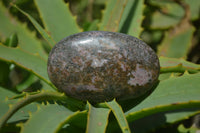 Polished Rhodonite Palm Stones x 20 From Madagascar