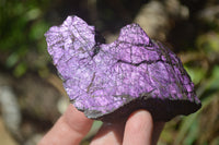 Natural Metallic Purpurite Cobbed Specimens x 13 From Erongo, Namibia