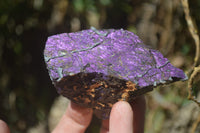 Natural Metallic Purpurite Cobbed Specimens x 13 From Erongo, Namibia