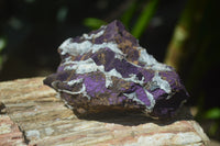 Natural Metallic Purpurite Cobbed Specimens x 13 From Erongo, Namibia