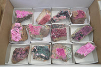 Natural Salrose Cobaltion Dolomite Specimens x 12 From Kakanda, Congo