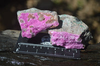 Natural Salrose Cobaltion Dolomite Specimens x 12 From Kakanda, Congo