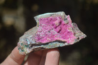 Natural Salrose Cobaltion Dolomite Specimens x 12 From Kakanda, Congo