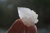 Natural Cactus Flower Spirit Quartz Crystals x 24 From Boekenhouthoek, South Africa