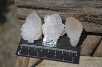 Natural Cactus Flower Spirit Quartz Crystals x 24 From Boekenhouthoek, South Africa