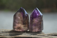 Polished Window Amethyst Quartz Crystals x 12 From Akansobe, Madagascar