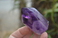 Polished Window Amethyst Quartz Crystals x 12 From Akansobe, Madagascar