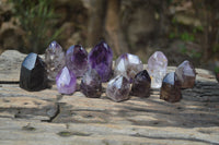 Polished Window Amethyst Quartz Crystals x 12 From Akansobe, Madagascar