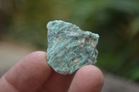 Natural Kyanite In Fuchsite Matrix Specimens x 1.2 Kg Lot From Zimbabwe