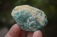 Natural Kyanite In Fuchsite Matrix Specimens x 1.2 Kg Lot From Zimbabwe