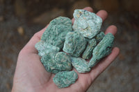 Natural Kyanite In Fuchsite Matrix Specimens x 1.2 Kg Lot From Zimbabwe