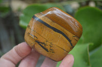 Polished Tiger's Eye Free Forms x 4 From Prieska, South Africa