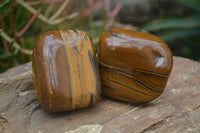 Polished Tiger's Eye Free Forms x 4 From Prieska, South Africa