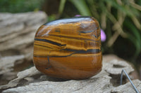 Polished Tiger's Eye Free Forms x 4 From Prieska, South Africa