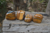 Polished Tiger's Eye Free Forms x 4 From Prieska, South Africa