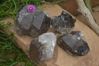 Natural Smokey Quartz Crystal Specimens x 4 From Zomba, Malawi